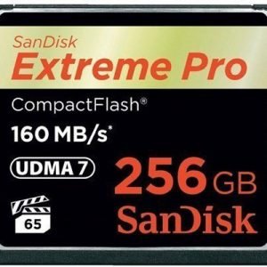Sandisk Extreme Pro Compactflash 256gb